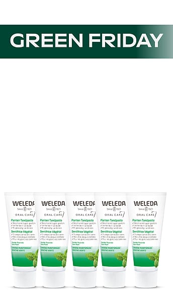 Green Friday - Plantentandpasta Superdeal