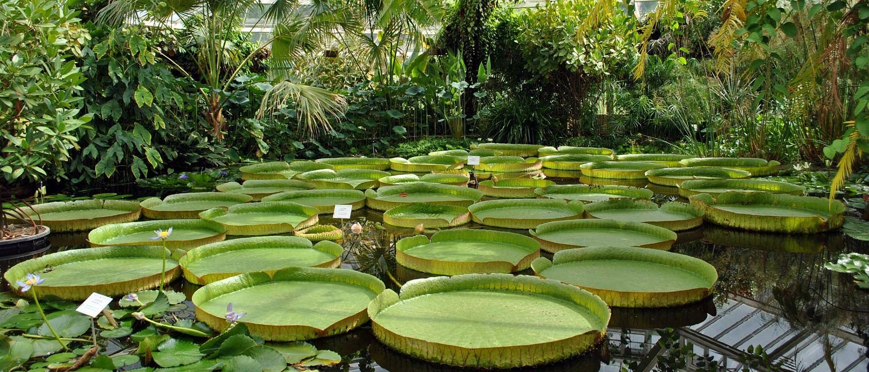 Plantentuin Meise