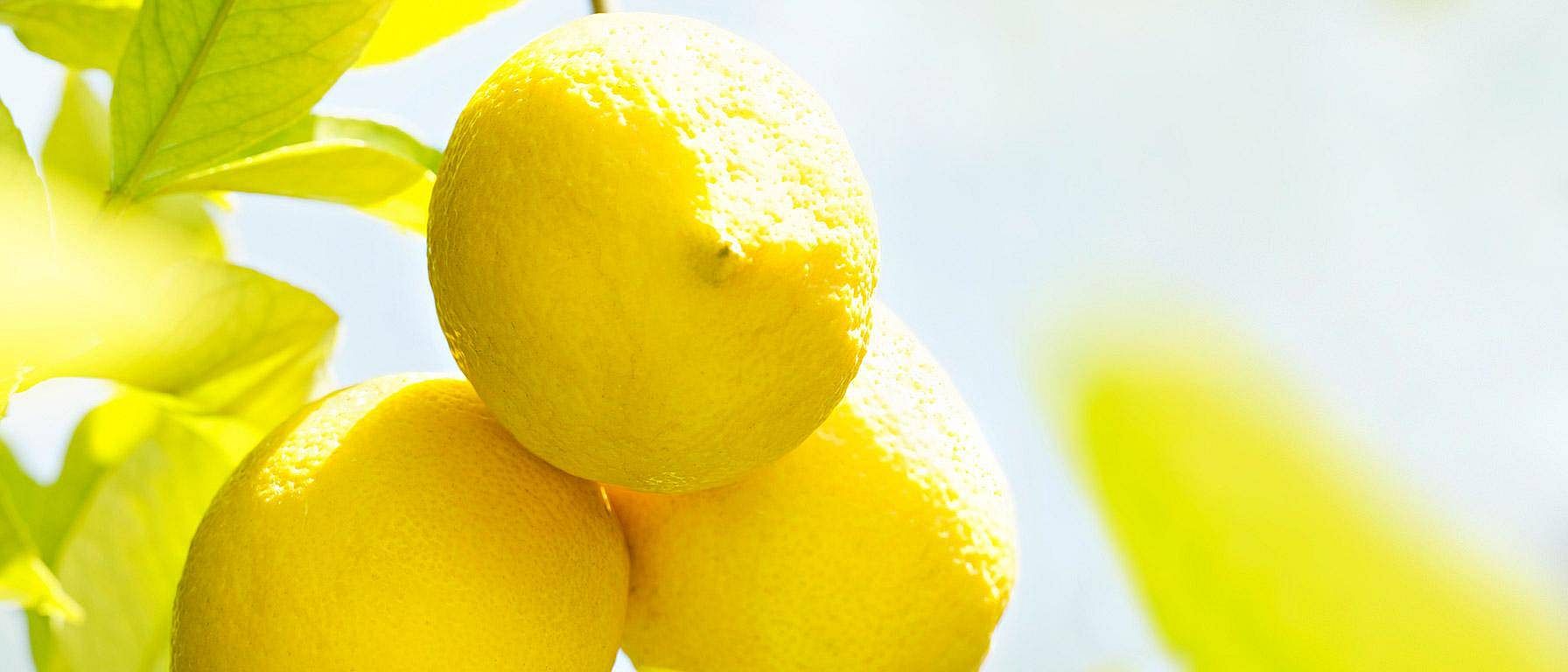 Citrus
