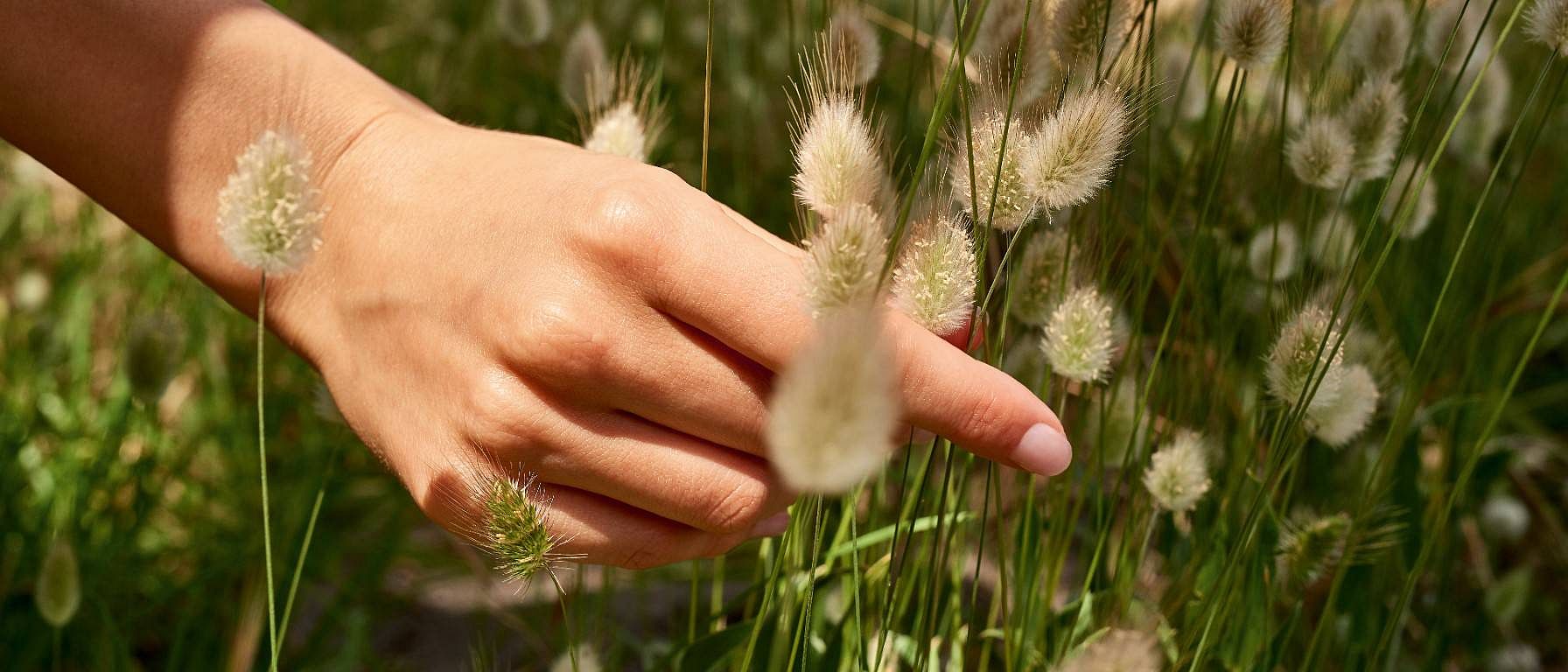 Hand plukt gras