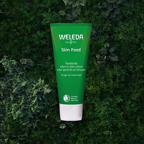 Skin Food