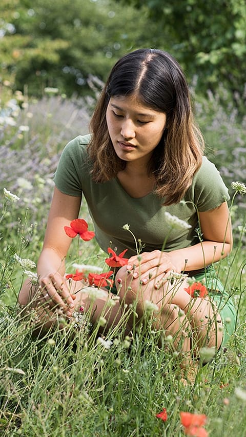 Vrouw in veld