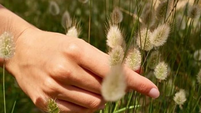 Hand door de bloemen