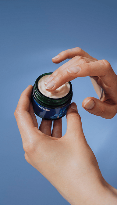 Crème de Nuit Redensifiante