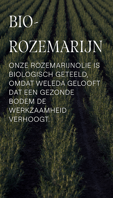 Rozemarijn Revitaliserende Haarlotion