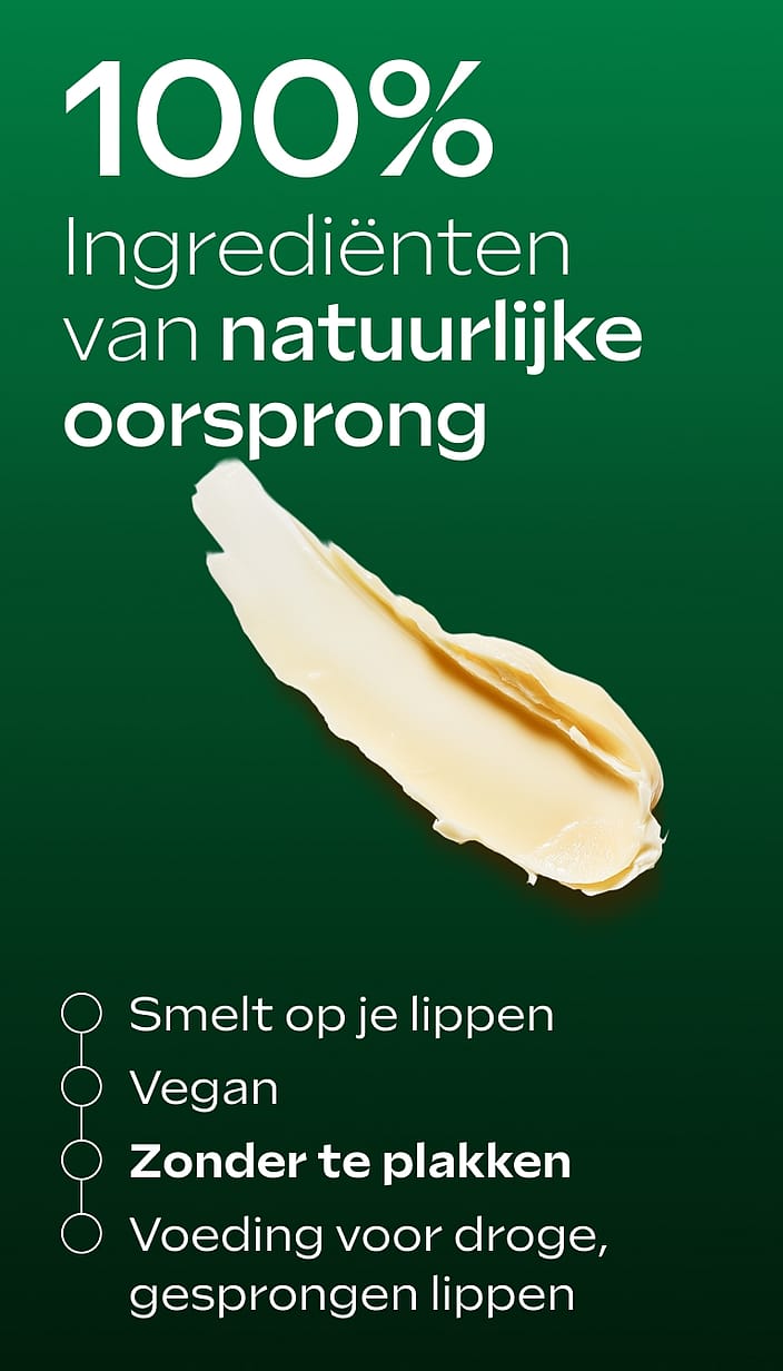 Skin Food Lip Butter Stick