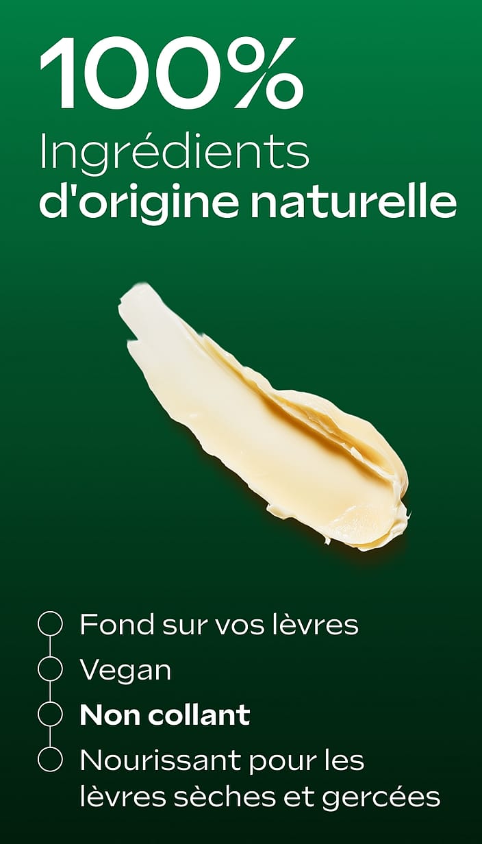 Skin Food Lip Butter Stick