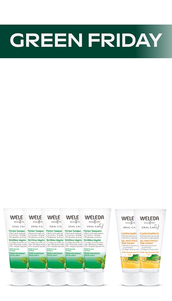 Green Friday - Plantentandpasta Gezinsdeal