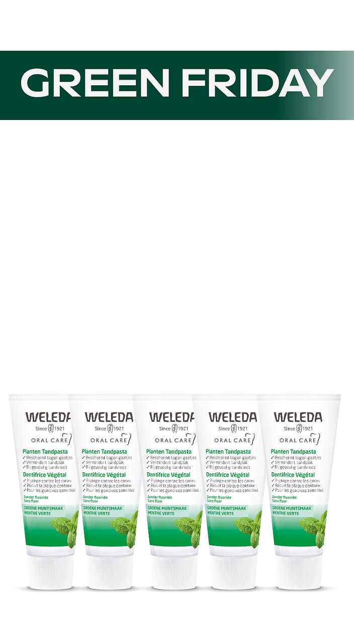 Green Friday - Plantentandpasta Superdeal