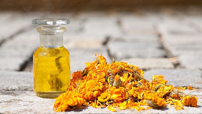 Fleurs de calendula et huile de calendula