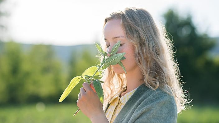 Une femme sent les feuilles d'une plante