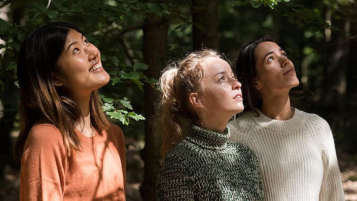 Trois femmes dans une forêt regardent vers le haut
