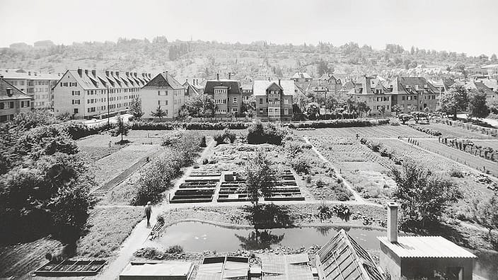 Photo historique d'un jardin Weleda
