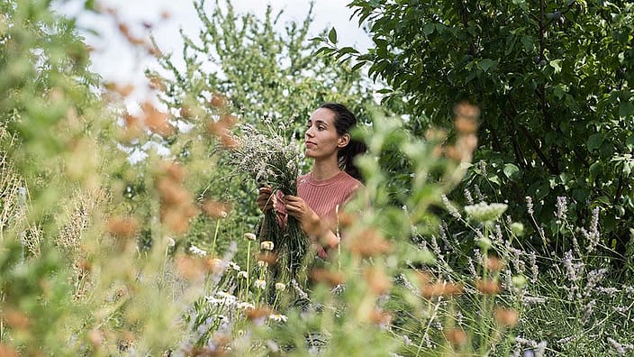 Une femme récolte du grain