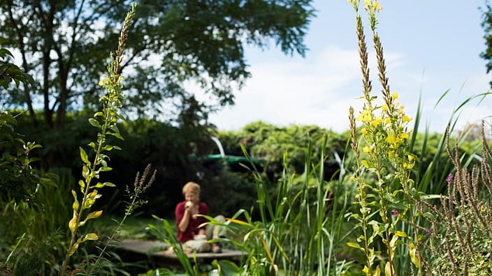 Plantentuin Meise