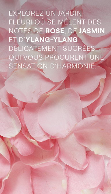 Love Crème de Douche
