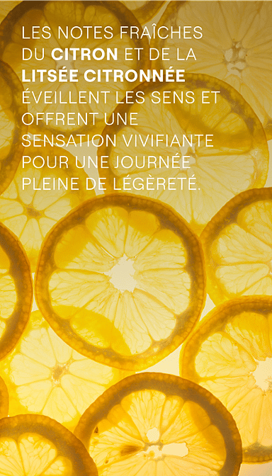 Refresh Crème de Douche