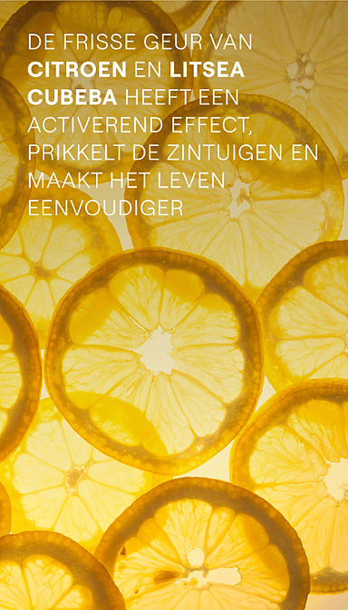 Refresh Douchecrème
