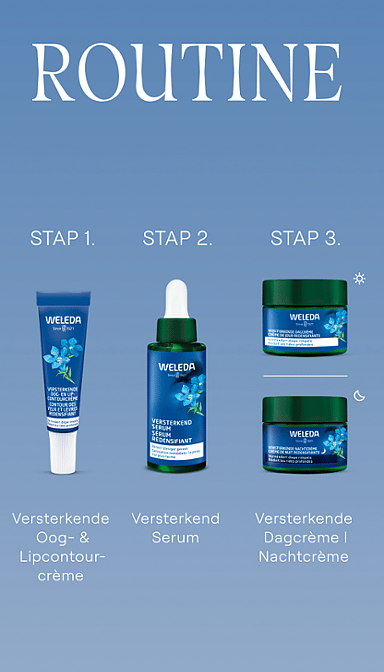 Versterkende Nachtcrème
