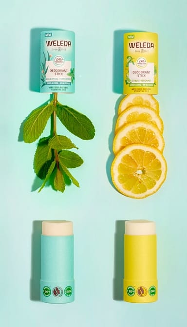 Eucalyptus + Peppermint 24H Deodorant Stick