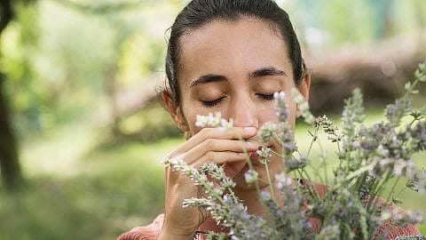 Vrouw tussen de bloemen
