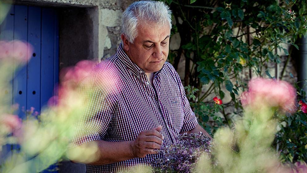 Gardener looking at flowers